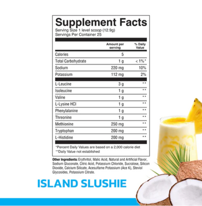 Raw Nutrition Essential Amino Acids (EAA) - Terminal Supply